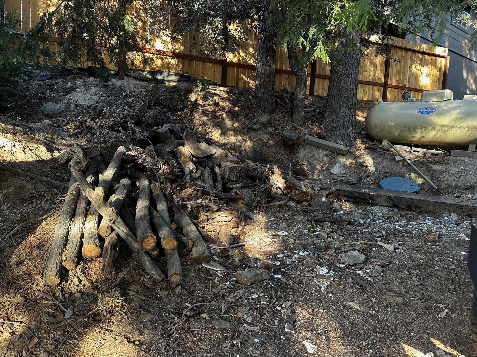 The same backyard cleared of junk and debris, only the woodpile remaining, after Royce hauled it away